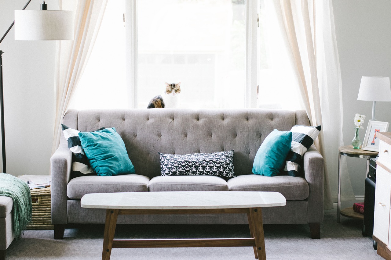 Jaką sofę wybrać do małego mieszkania?