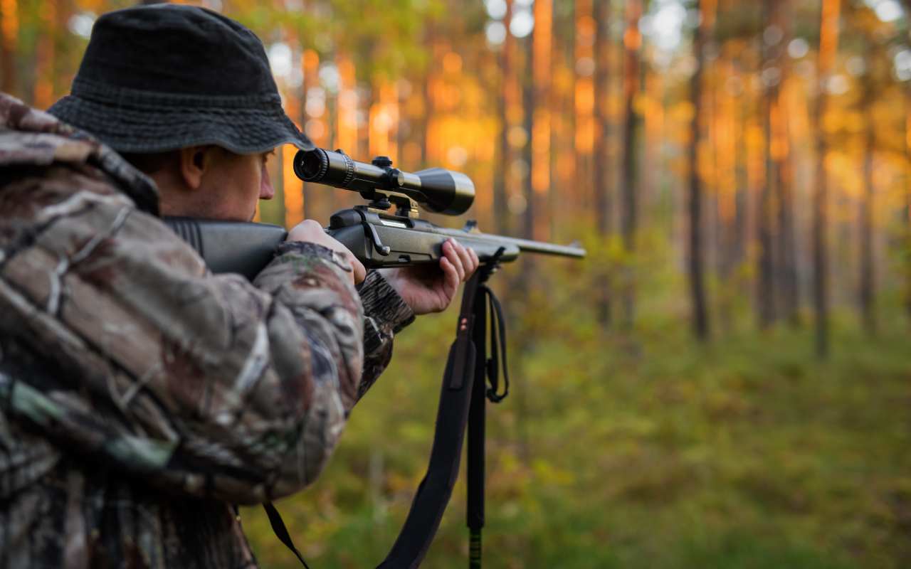 Jak zadbać o precyzję strzału podczas polowania?