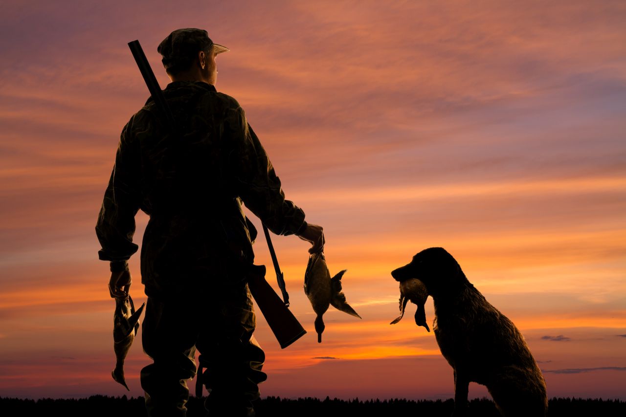 Nocne polowania – w jaki sprzęt należy się wyposażyć?